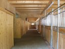 Hallen & Br�cken