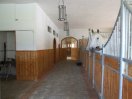 Hallen & Br�cken